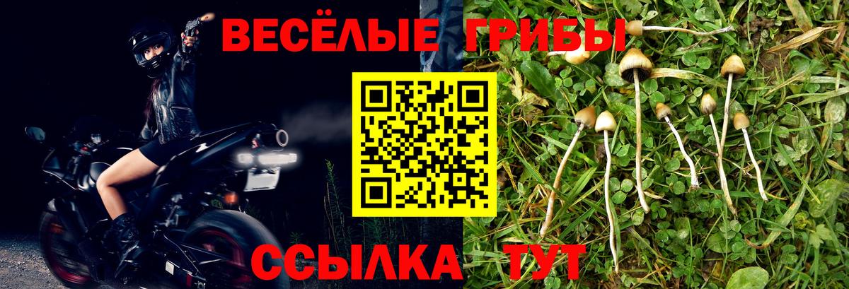 Галлюциногенные грибы мицелий  Вход с VPN  Грязи 