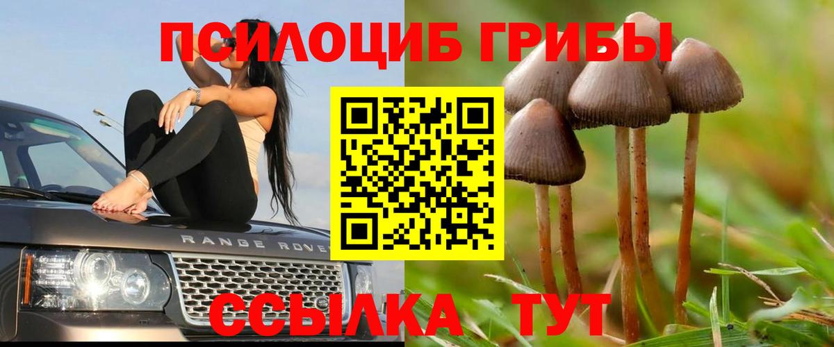 Галлюциногенные грибы прущие грибы Грязи