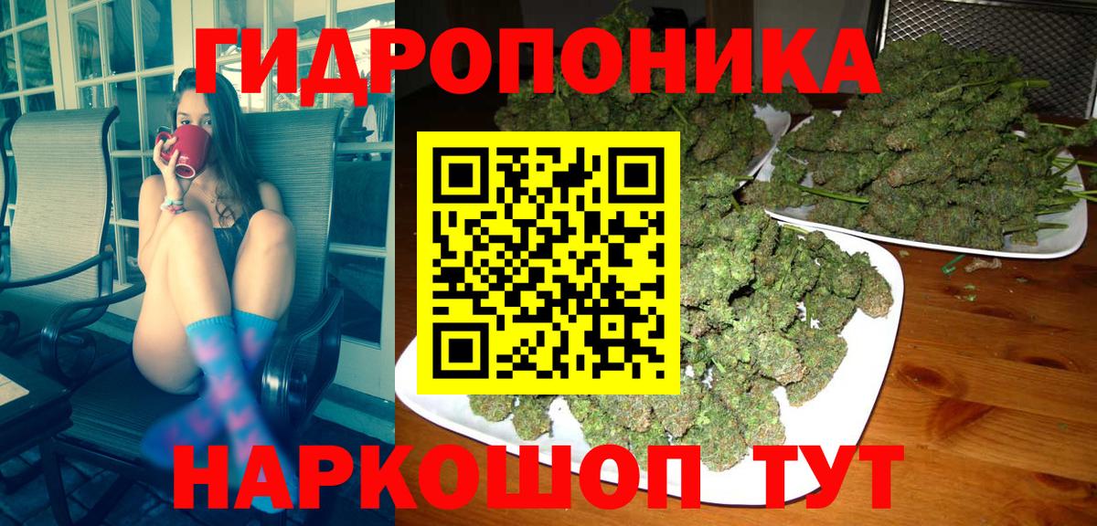Бошки Шишки тримм  Бошки марихуана THC 21%  Бошки марихуана Bruce Banner  Вход с VPN  Грязи 